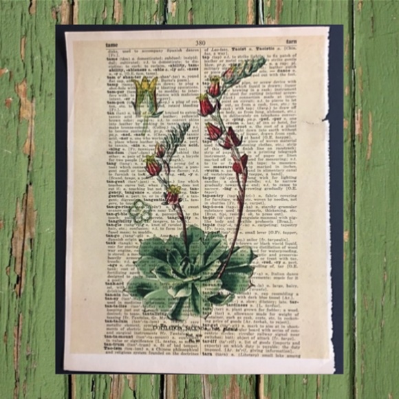 Vintage Dictionary Page Print Succulent - Picture 1 of 1